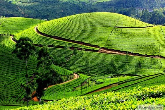Tourist Places in Ooty | Best Time to Visit