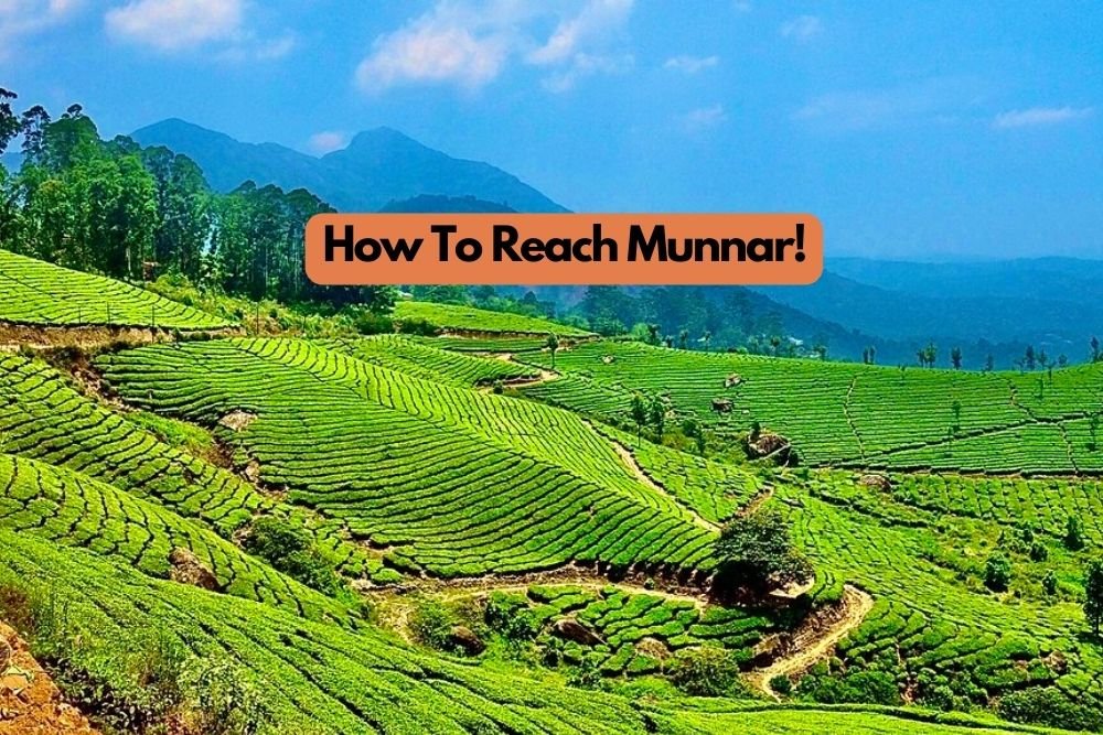 How To Reach Munnar from Mumbai?