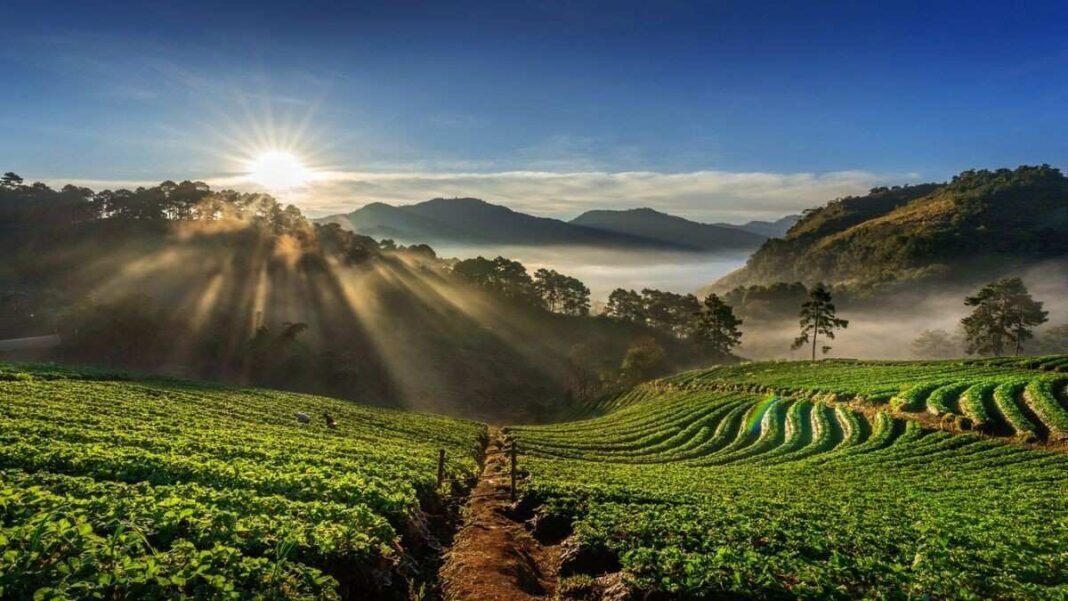 Best time to Visit Coorg | How to reach Coorg by Train - StyleLagoon