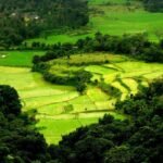 Best time to Visit Coorg –  Coorg Weather, Climate