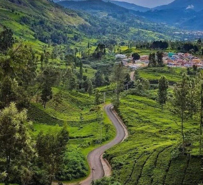 10 Places to Visit in Coonoor | Best Time to Visit Ooty and Coonoor