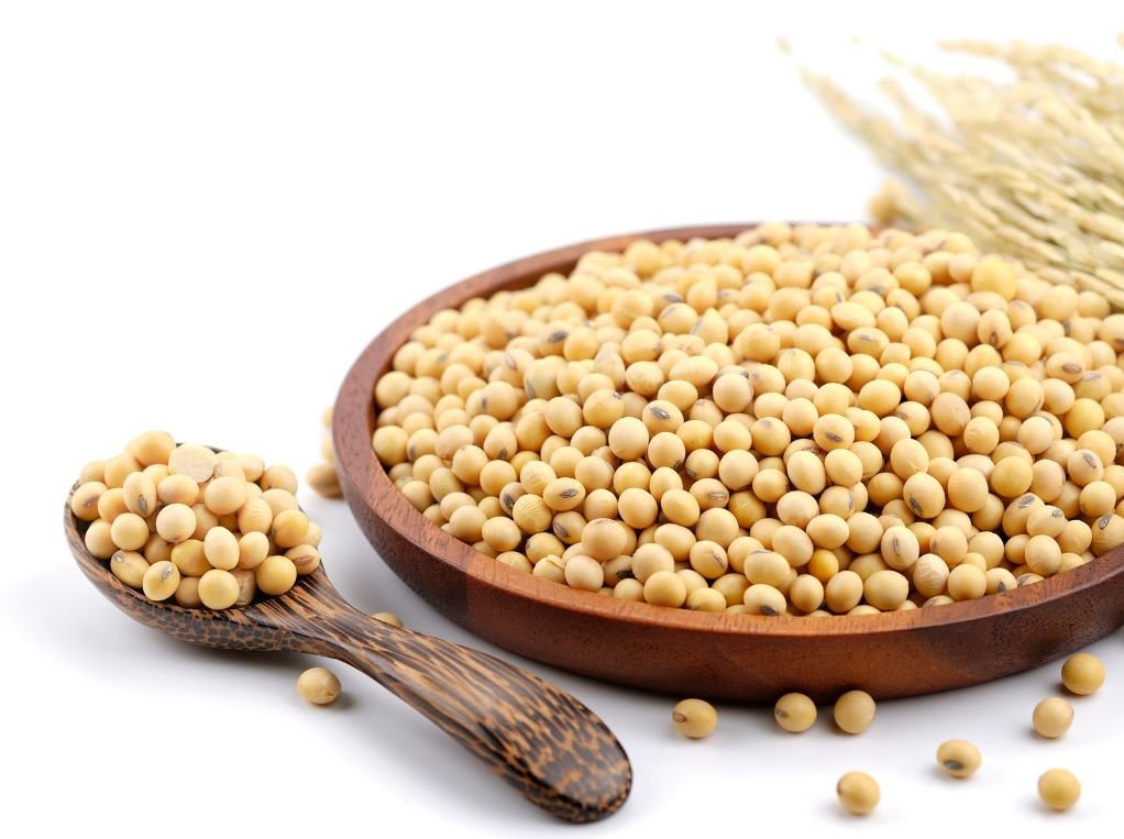 Complete Protein Sources