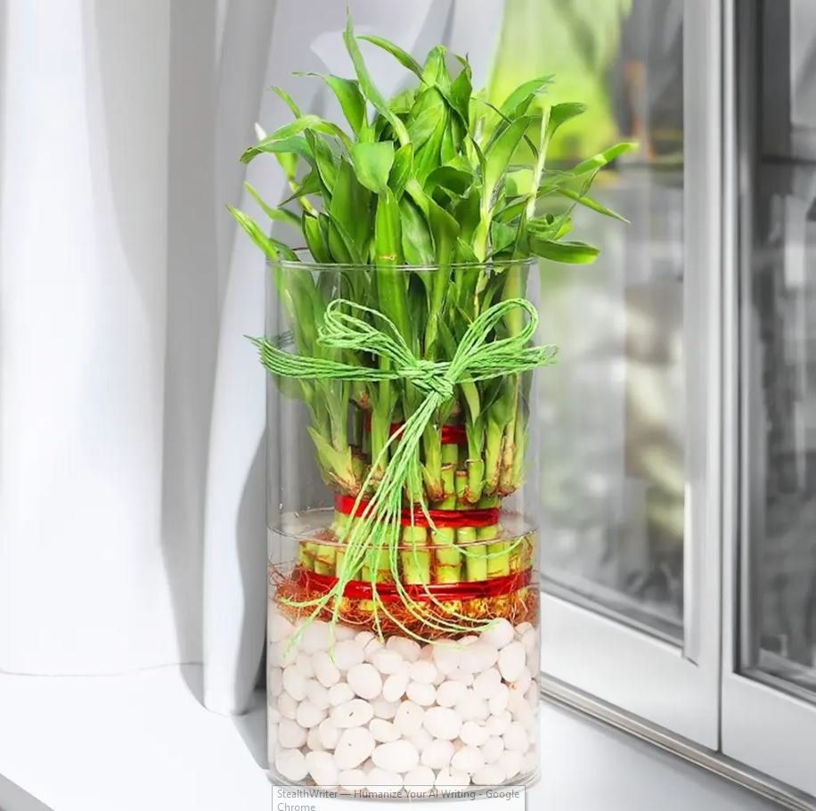 Indoor Plants Without Sunlight